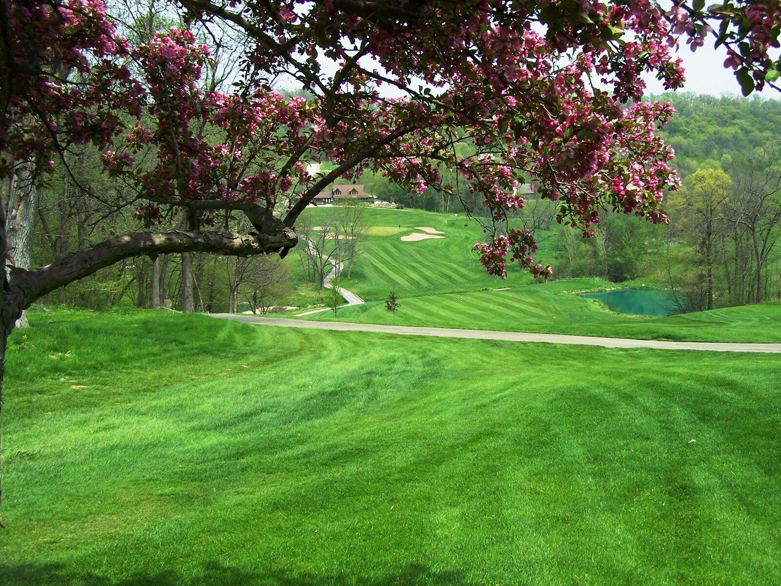 Eagle Ridge Resort And Spa Galena Luaran gambar